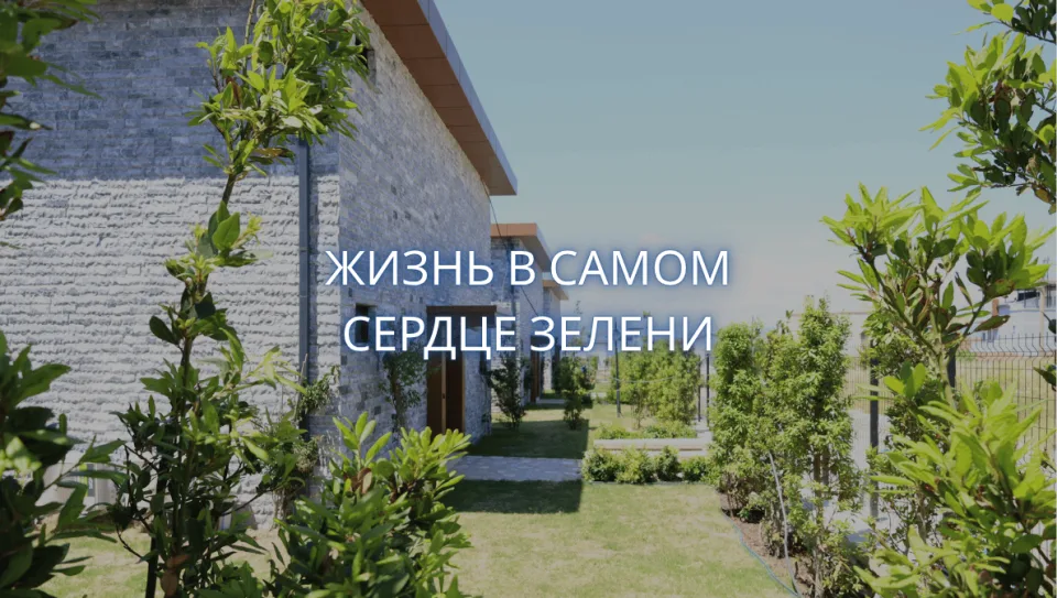 portfolio-image